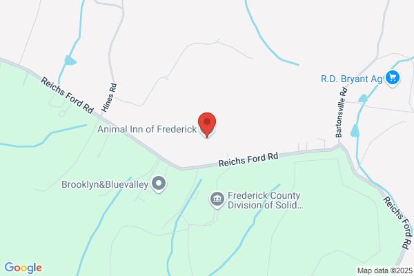 Animal Inn of Frederick