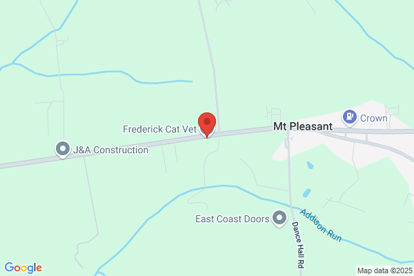 Frederick Cat Veterinarian