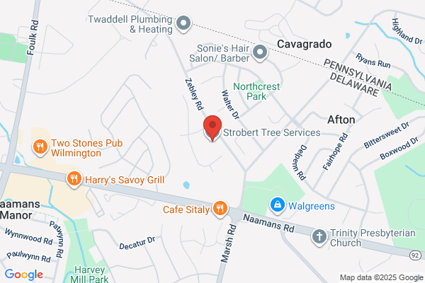 Strobert Tree Services