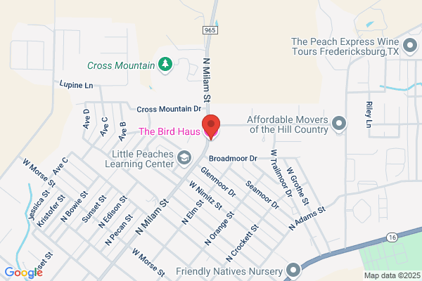 Birdhaus the