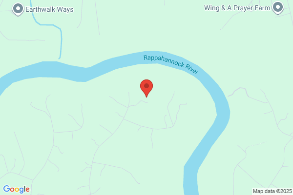 Bigoney Engineering