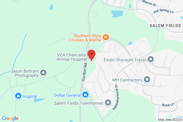 VCA Chancellor Animal Hospital