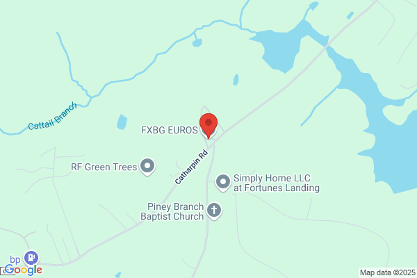 Eurotech Auto Service