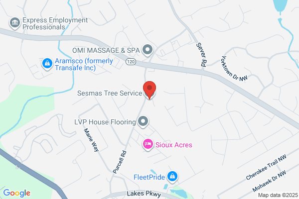 Sesmas Tree Service
