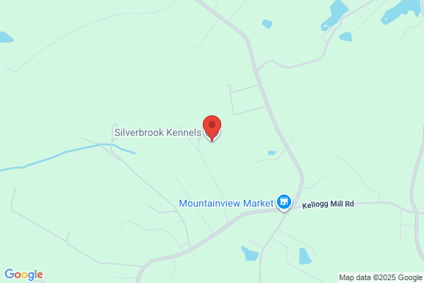 Silverbrook Kennels