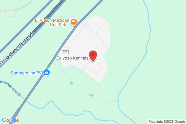 Calypso Kennels