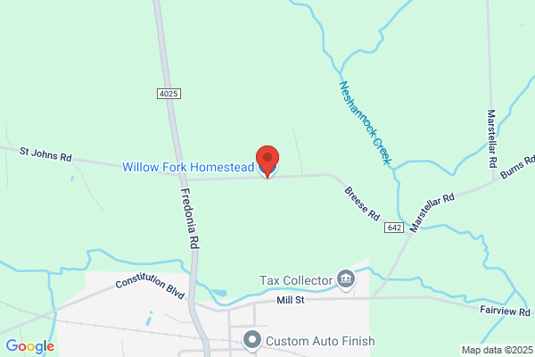 Willow Fork Homestead