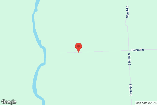 Sauble River Tree Farm