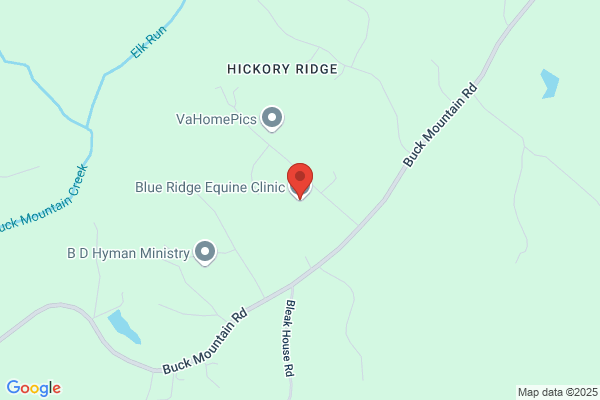 Blue Ridge Equine Clinic