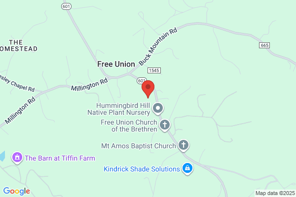 Free Union Country School