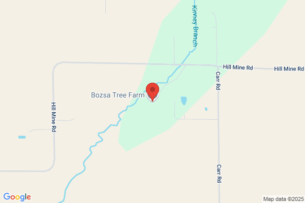 Bozsa Tree Farm