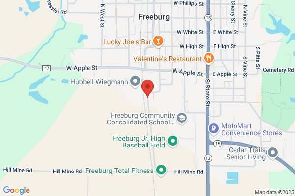 Freeburg Township