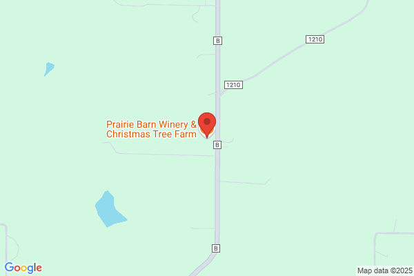 Neuners Christmas Tree Farm