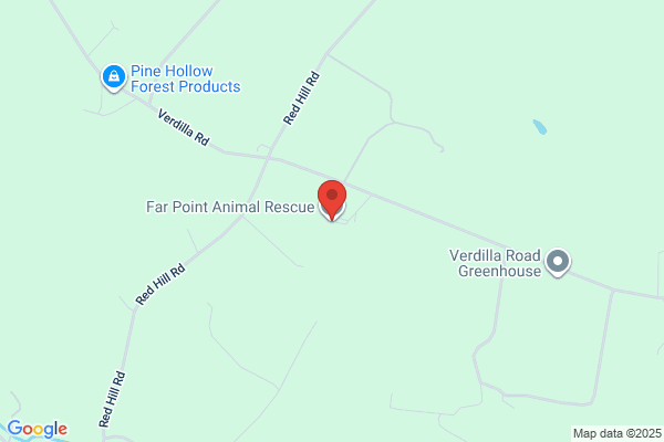 Far Point Animal Rescue