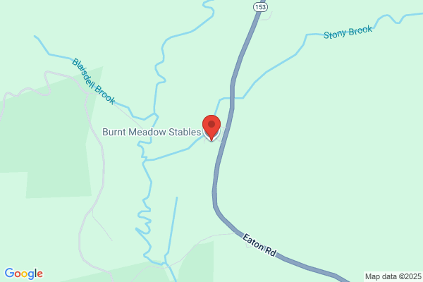 Burnt Meadow Stables