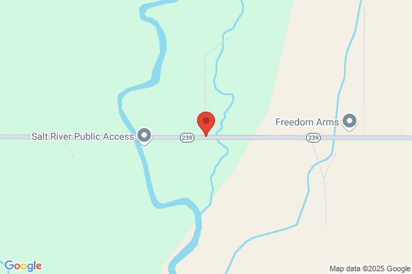 Freedom Automotive Inc