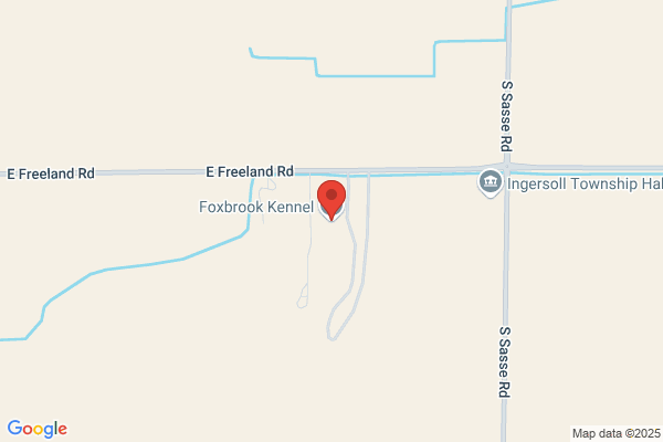 Foxbrook Kennels