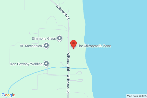The Chiropractic Zone