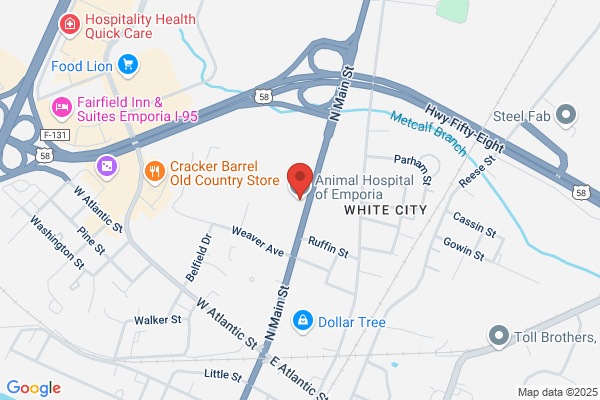 Animal Hospital of Emporia