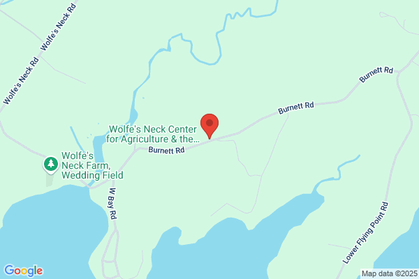 Recompence Shore Campsites