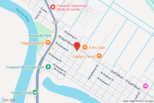 Brazosport Yellow Cab