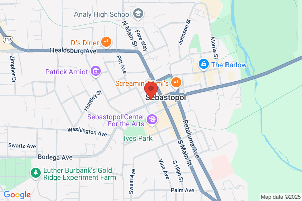 Sebastopol City of, Business Calls