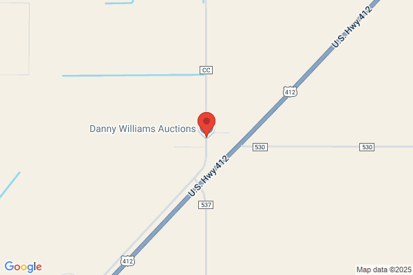 Daniel Jerry Auctioneer