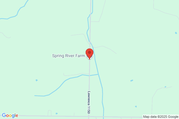 Spring River Salvage