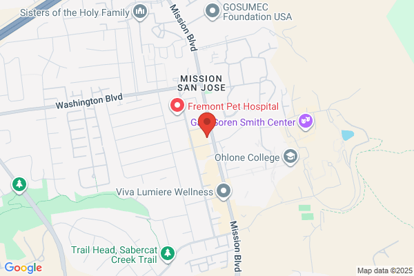 Fig-Tree Auto Repair