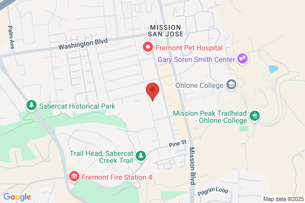 Mission Driving School
