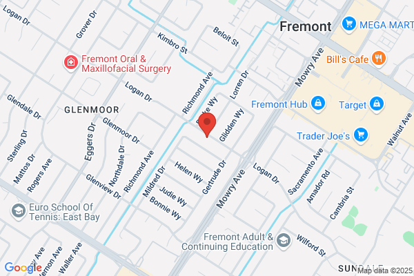 Fremont Express Courier Service