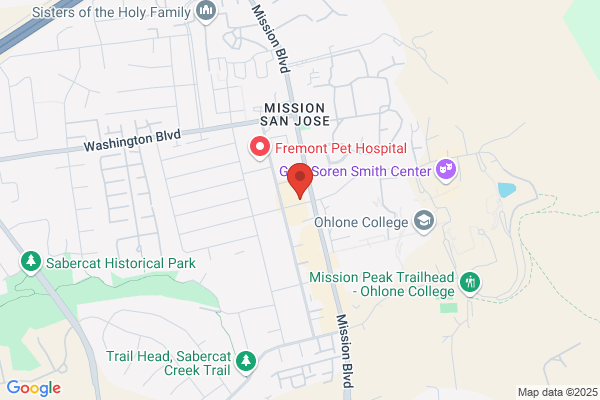 Mission Burgers