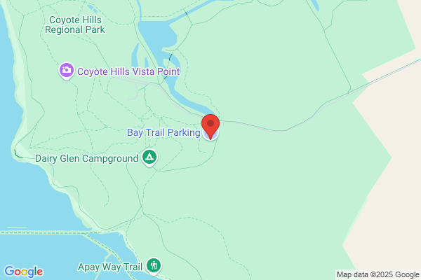 Bay Area Parking Service