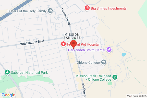 Mission Highlights Karen Wolff