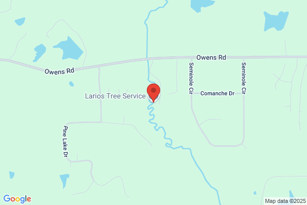 Larios Tree Service