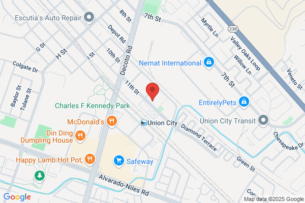 Sams Tree Service Union City