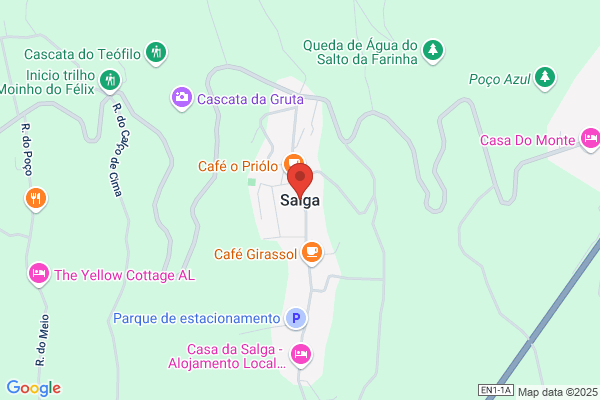Salga Inc