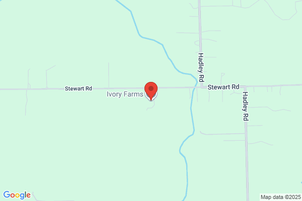 Ivory Haven Farms