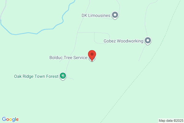 Bolduc Tree Service
