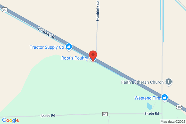 Root Electrical