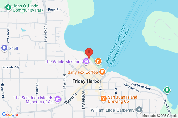 Paddlewheel Productions