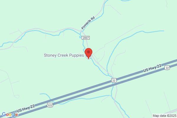 Stonycreek Kennels