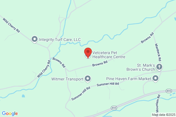 Vetcetera Pet Healthcare Centre