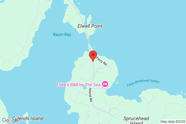 Island Road Auto-Sprucehead