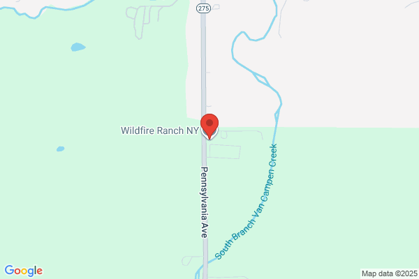 Wildfire Ranch NY INC