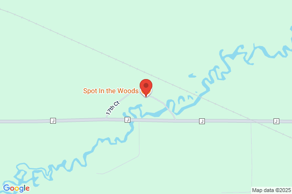 Spot In the Woods