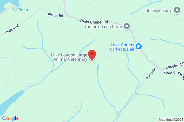 Lake Loudon Large Animal Veterinary Service