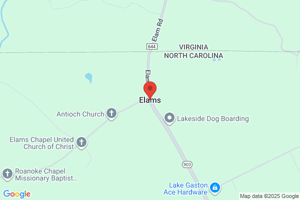Elam's