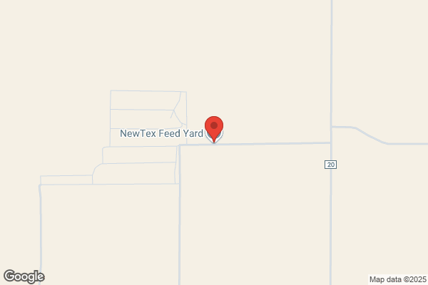 New Tex Feedyard Inc