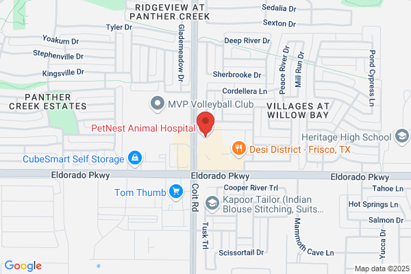 PetNest Animal Hospital